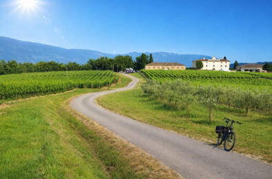 Istrian countryside road with bike